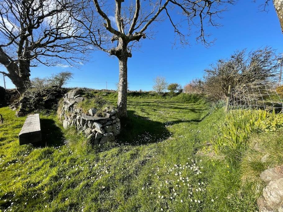 Villa The Hut@Trefechan Wen - Coastal Coziness! Goodwick Exterior foto